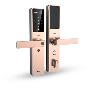 Automatic Door & Window Lock